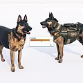 Two German Shepherd Dogs One With Tactical Vest Standing Together