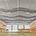 Modern Basketball Gymnasium with Wave Ceiling Design Large Windows Wooden Walls and Colorful Floor