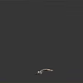Complete Anatomical White Reptile Skeleton Structure On Dark Reflective Background