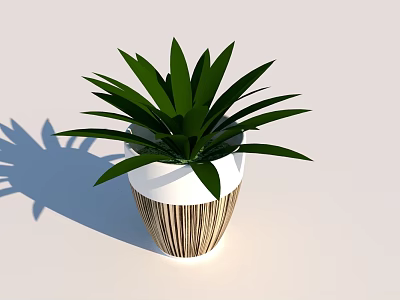 Lush Green Bonsai Potted Plant With Long Leaves In White Brown Striped Pot 3d model