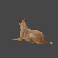 Brown Game Movie Character Dog In Standing Pose With Gray Background