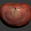 Fresh Organic Red Beetroot Vegetable Close Up With Shiny Surface On Dark Background