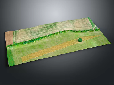 Aerial View Of Natural Landscape With Green Fields Meandering Path And Solitary Tree 3d model