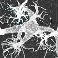 3D Rendered Biological Tissue System With Branched Network And Purple Blue Structures