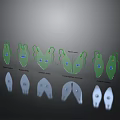 Detailed Human Organ And Hair Structure Models With Development Stages