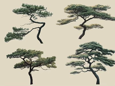 Four Artistic Curved Branch Trees With Green Foliage And Unique Shapes 3d model