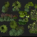 Diverse Flowers And Plants Collection With Palm Trees Shrubs And Colorful Blooms