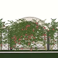 Lush Vines With Red Flowers Adorning Arched White Structure And Green Lawn