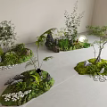 Bonsai Potted Landscapes With Bamboo Ferns Small Trees Stones And Moss
