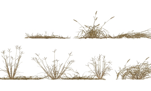 Modern grass autumn and winter withered grass 3d model