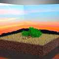 Green Tree Growing in Grass and Soil Layers Against Sunset Sky Background