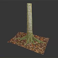 Wooden Tree Trunk with Roots on Stone Base Decorated with Fallen Leaves and Natural Texture