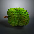 Fresh Green Spiky Tropical Fruit Ripe Exotic Soursop with Textured Skin