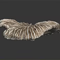 Modern Shi Zhi Shi Shi Shi Shi coral 3d model