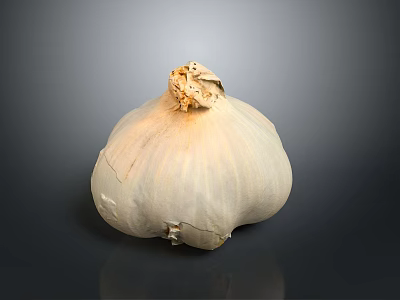 Fresh White Garlic Bulb With Natural Texture On Dark Background And Reflection 3d model