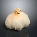Fresh White Garlic Bulb With Natural Texture On Dark Background And Reflection