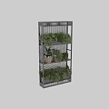 Decorative Plant Arrangement With Black Metal Shelves And Various Green Potted Plants