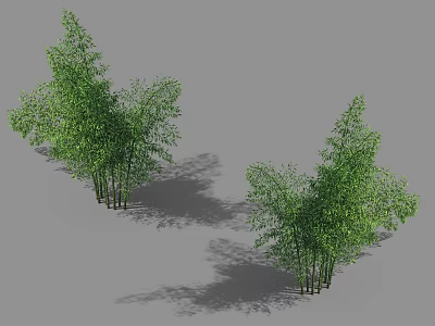 Green Bamboo Clusters With Lush Green Leaves And Shadows On Gray Background 3d model
