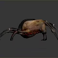 Three Colorful Spider Like Creatures With Black Purple Orange Hues And Glowing Bodies