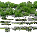 Diverse Garden Flowers And Green Plants With Various Shrubs On Wooden Deck