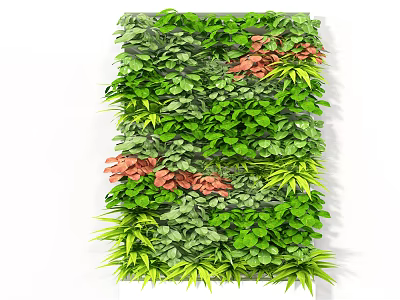 Lush Indoor Living Plant Wall With Green Leaves Red Foliage And Diverse Plant Varieties 3d model