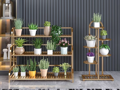 Multi Tiered Gold Plant Stands With Colorful Succulent Plants In Indoor 3d model