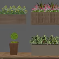 Beautiful Flowers and Green Plants in Hanging Wooden Planter Boxes and Potted Containers