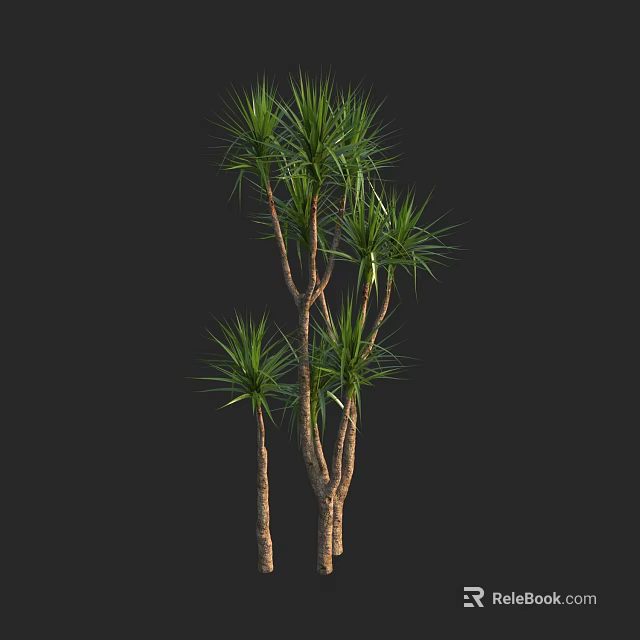 Tall Shrub With Slender Trunks And Long Green Leaves For Garden Landscaping 3d model 