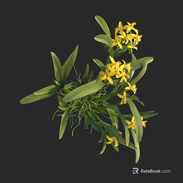 Vibrant Yellow Orchids with Lush Green Leaves and Exposed Roots in Natural State 3d model 