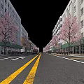 Urban Road Facilities With Double Yellow Lines Directional Arrows Cherry Blossom Trees And Buildings