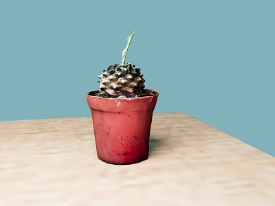 modern potted plant 3d model modern potted plant 3d model