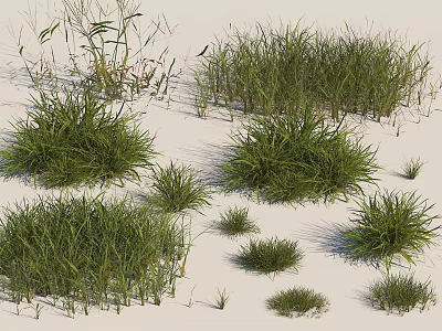Natural Green Grass Varieties With Lush Foliage And Different Sizes 3d model