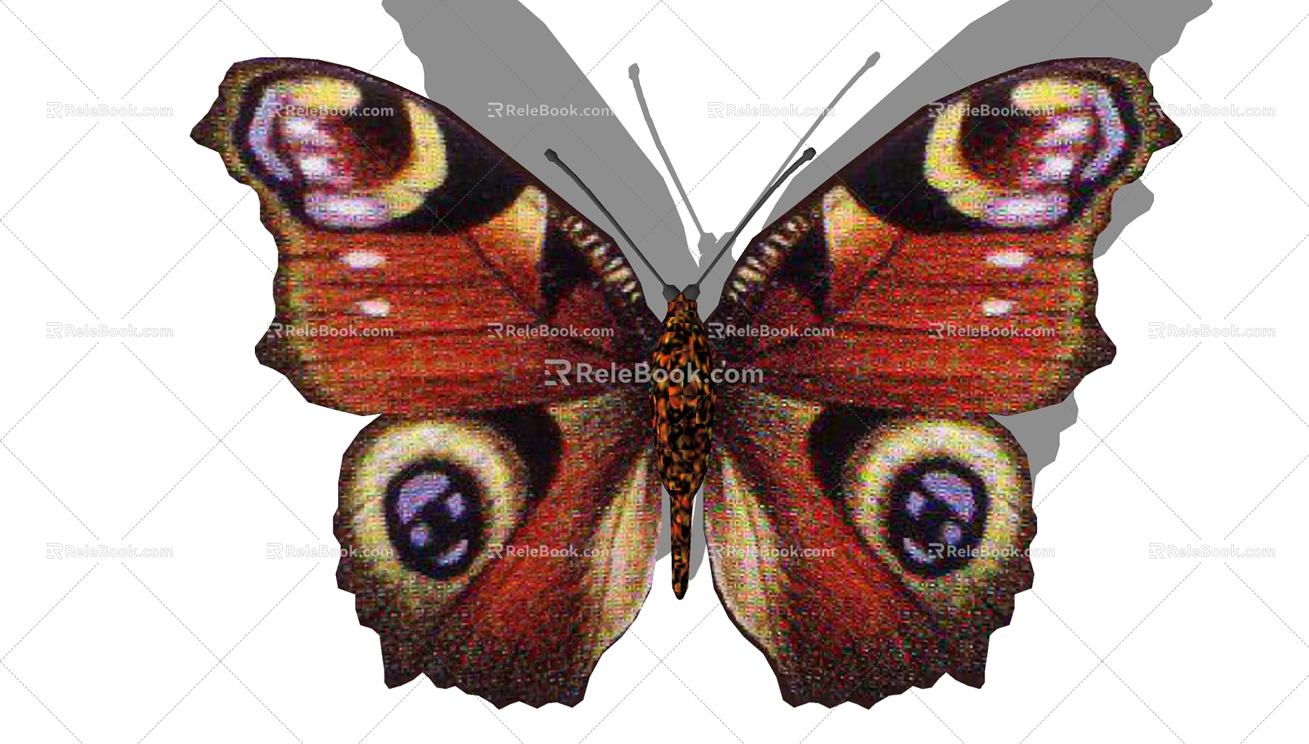 Butterfly 3d model