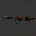 Shiny Blue Brown Crocodile Reptile 3D Model With Gray Gradient Background Reflection