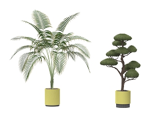 plant potted tree 3d model