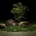 Hanging Basket Green Plants with Trees Rocks and Grass in Dark Garden Decor