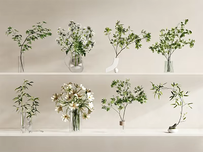Stylish Vases With Fresh Flowers Displayed On White Shelves Various Green Plants And White Blooms 3d model