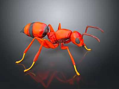 Detailed 3D Red Ant Model With Yellow Legs Black Eyes And Reflection On Dark Background 3d model