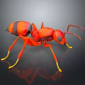 Detailed 3D Red Ant Model With Yellow Legs Black Eyes And Reflection On Dark Background