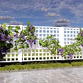Grape Arbor With White Lattice Fence Purple Grapes And Wicker Basket