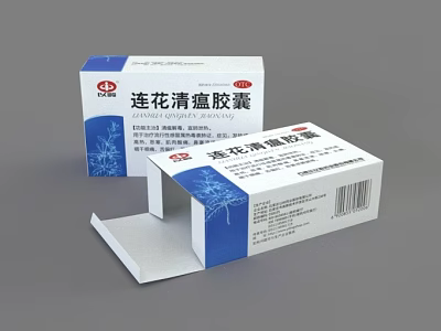 Medical Device Boxes Open And Closed For Traditional Chinese Medicine Capsules With Blue White Design 3d model