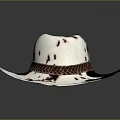 White and Brown Cowhide Cowboy Hat With Braided Leather Band And Wide Brim