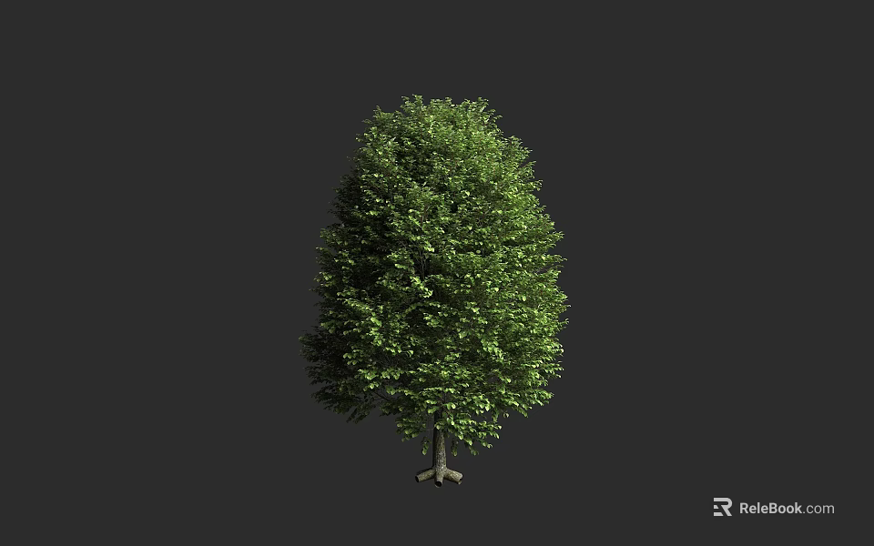 Lush Green Tree with Dense Canopy and Straight Trunk in Dark Background 3d model 