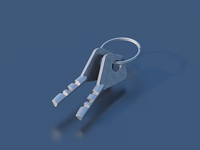 Two Metal House Keys On Silver Key Ring For Daily Household Use 3d model