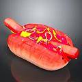 Delicious Hot Dog with Sausage Mustard Ketchup and Red Bun Topped with Yellow Onion Rings