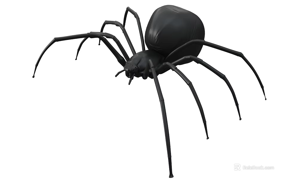 Detailed 3D Model Of A Black Spider On White Background 3d model 