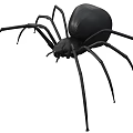 Detailed 3D Model Of A Black Spider On White Background