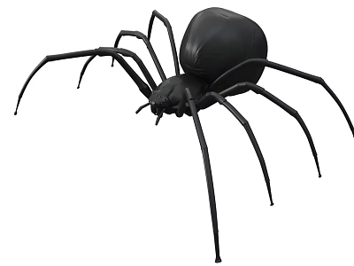 Detailed 3D Model Of A Black Spider On White Background 3d model