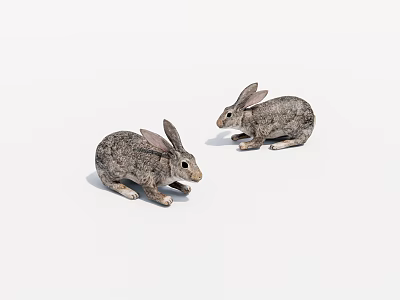 Two Realistic Gray Spotted Rabbits Crouching On White Background 3d model