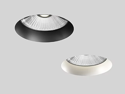 Modern Black And White Downlights And Spotlights With Sleek Ceiling Design 3d model